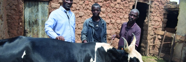 Sylvestre, Programmdirektor von CARSA, mit Boniface und Justin und ihrer Kuh