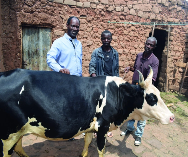 Sylvestre, Programmdirektor von CARSA, mit Boniface und Justin und ihrer Kuh