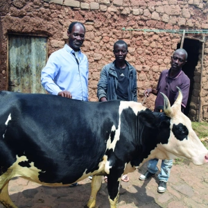 Sylvestre, Programmdirektor von CARSA, mit Boniface und Justin und ihrer Kuh