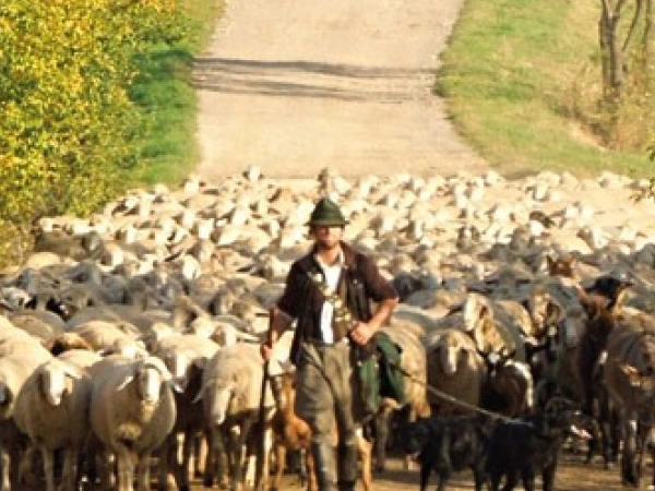Beitragsbild zum Text: Gebet - Ort der Unterbrechung von Dr. theol. Christoph Meyns