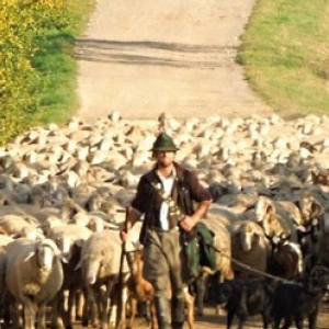 Beitragsbild zum Text: Gebet - Ort der Unterbrechung von Dr. theol. Christoph Meyns