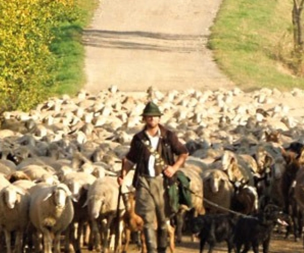 Beitragsbild zum Text: Gebet - Ort der Unterbrechung von Dr. theol. Christoph Meyns