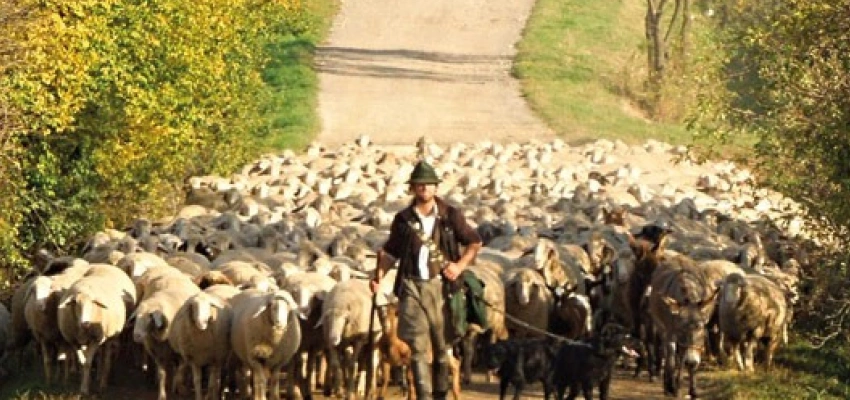 Beitragsbild zum Text: Gebet - Ort der Unterbrechung von Dr. theol. Christoph Meyns