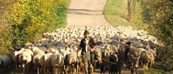 Beitragsbild zum Text: Gebet - Ort der Unterbrechung von Dr. theol. Christoph Meyns