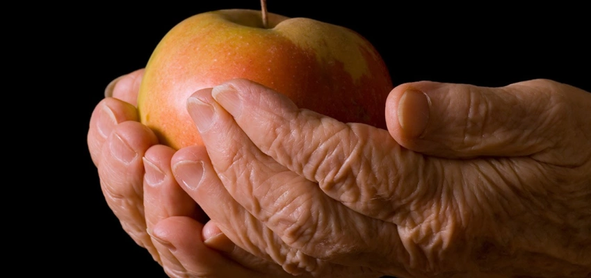 Zwei Hände umfassen einen Apfel.