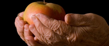 Zwei Hände umfassen einen Apfel.