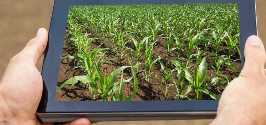 Beitragsbild zum Text: Schuldenschnitt einkalkuliert von Jürgen Kaiser und Adele Webb