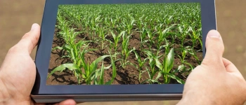 Beitragsbild zum Text: Schuldenschnitt einkalkuliert von Jürgen Kaiser und Adele Webb