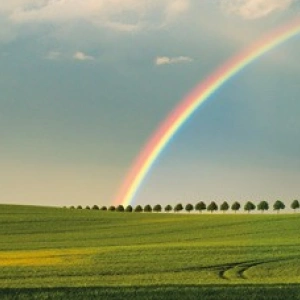 Beitragsbild zum Text: Aus bunt wird Bund von Pia Holzschuh