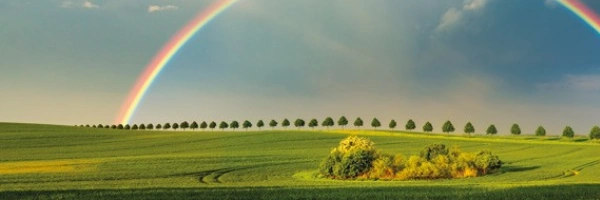Beitragsbild zum Text: Aus bunt wird Bund von Pia Holzschuh