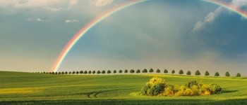 Beitragsbild zum Text: Aus bunt wird Bund von Pia Holzschuh