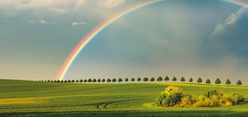 Beitragsbild zum Text: Aus bunt wird Bund von Pia Holzschuh