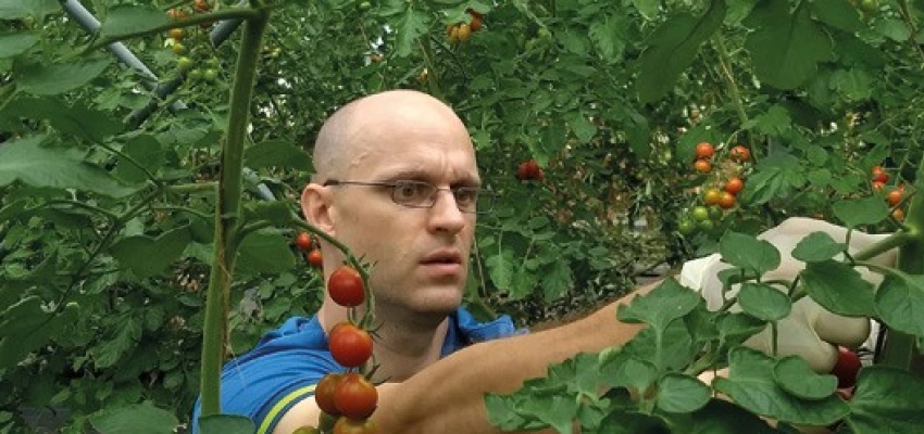 Beitragsbild zum Text: Barometer und Permakultur von Valerie Wolf