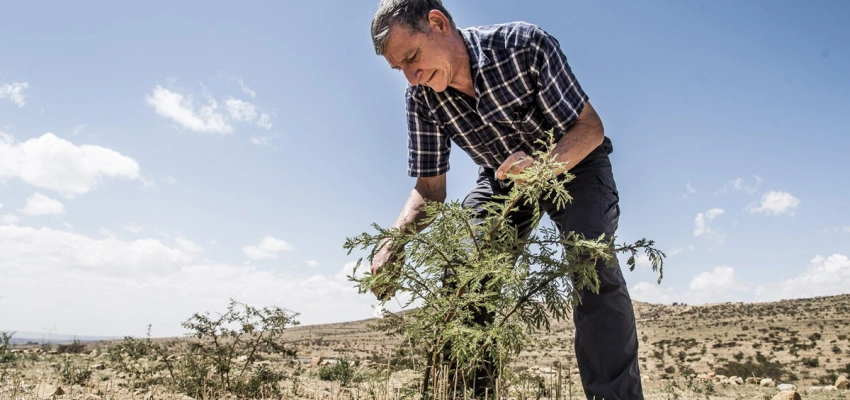 Bild von Tony Rinaudo