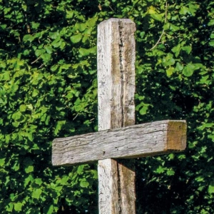 Beitragsbild zum Text: Der fragwürdige Dritte von Klaus Sperr