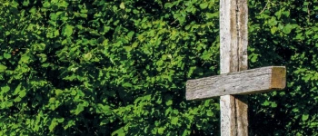 Beitragsbild zum Text: Der fragwürdige Dritte von Klaus Sperr