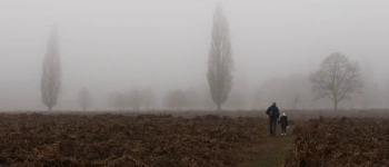 Erfolg ist kein Name Gottes. Von Höhenwegen und Abstürzen und der Gnade Gottes. Bild zum Artikel.