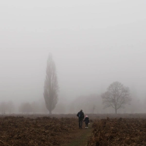 Erfolg ist kein Name Gottes. Von Höhenwegen und Abstürzen und der Gnade Gottes. Bild zum Artikel.