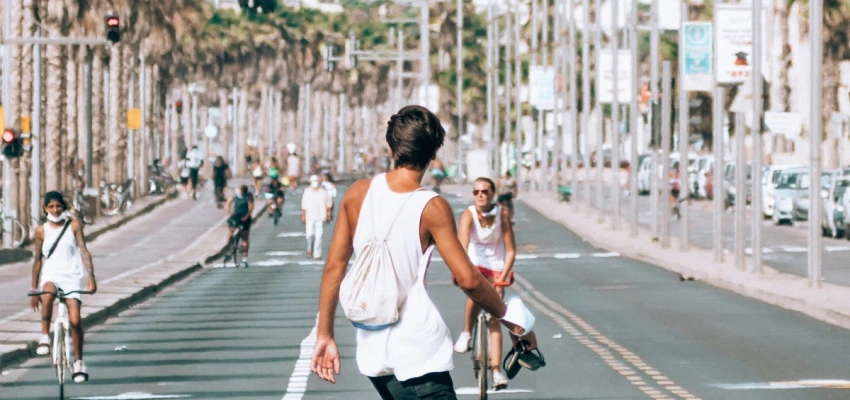 Im Dschungel der Meinungen