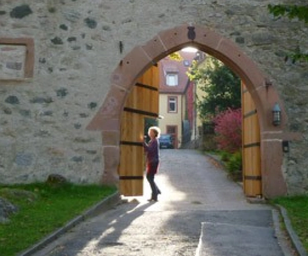 Beitragsbild zum Text: Leben mit Zugvögeln von Hanne Dangmann