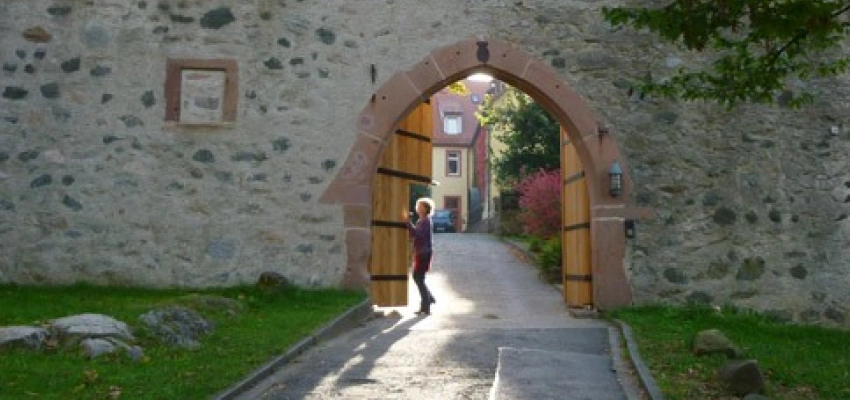 Beitragsbild zum Text: Leben mit Zugvögeln von Hanne Dangmann