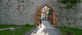 Beitragsbild zum Text: Leben mit Zugvögeln von Hanne Dangmann