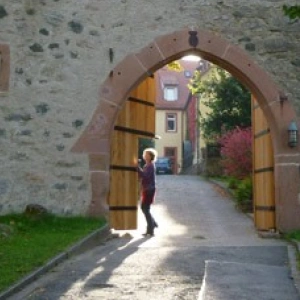 Beitragsbild zum Text: Leben mit Zugvögeln von Hanne Dangmann