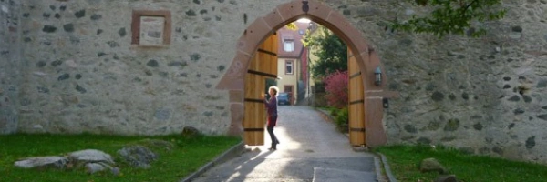 Beitragsbild zum Text: Leben mit Zugvögeln von Hanne Dangmann