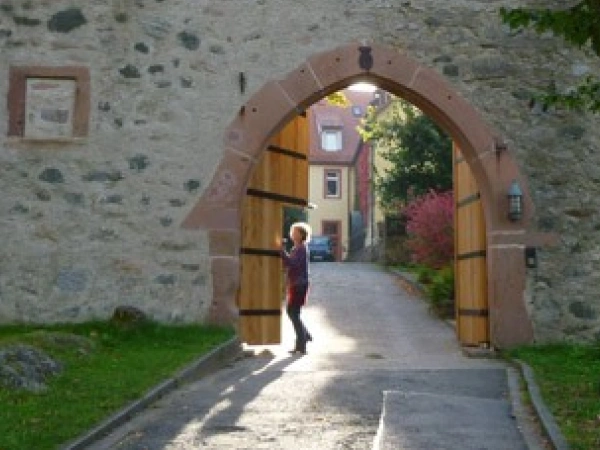 Beitragsbild zum Text: Leben mit Zugvögeln von Hanne Dangmann
