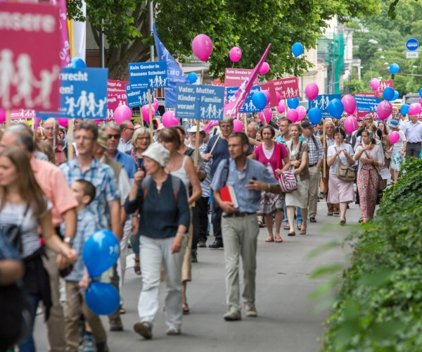 Mütter auf die Barrikaden. Warum ich bei der „Demo für Alle“ mitlaufe. Bild von der Demo.