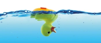 Beitragsbild zum Text: Scheitern erlaubt von Ralf Frisch