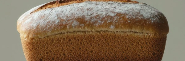 LebensBROT-Seminar