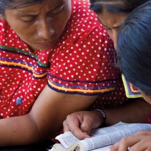 Beitragsbild zum Text: Sorry, machen wir selber von Gerlind Ammon-Schad