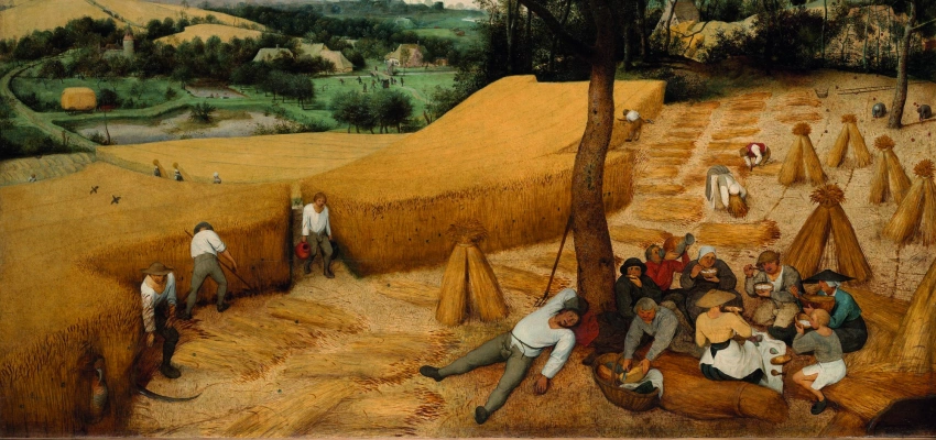 Pieter Bruegel de Oude - De graanoogst