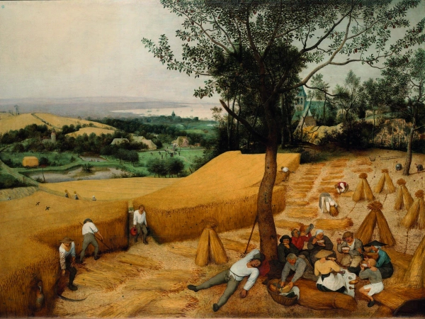 Pieter Bruegel de Oude - De graanoogst