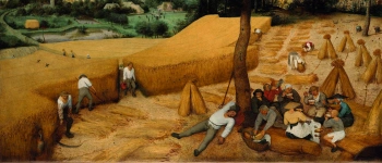 Pieter Bruegel de Oude - De graanoogst