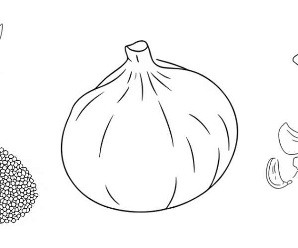Verschiedene Gemüsesorten illustriert