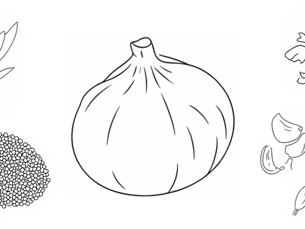 Verschiedene Gemüsesorten illustriert