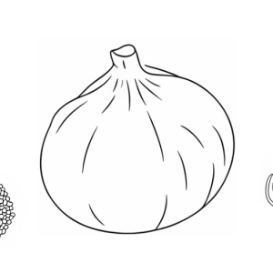 Verschiedene Gemüsesorten illustriert