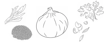 Verschiedene Gemüsesorten illustriert