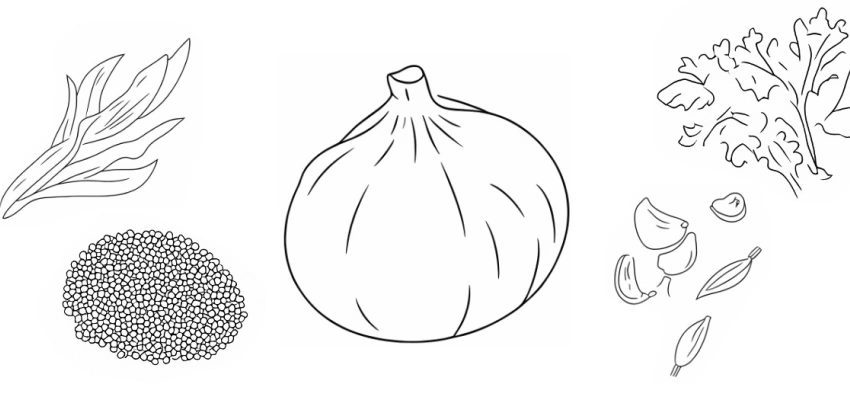 Verschiedene Gemüsesorten illustriert