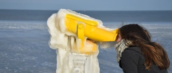 Was soll nur aus mir werden?! FSJ in der OJC. Bild von Serena Blecke.