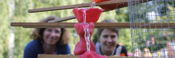 Beitragsbild zum Text: Wasserbäche auf den höhen von Ute Paul