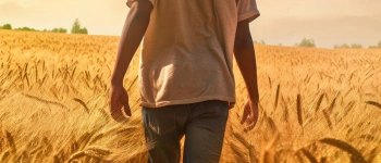 Wir kriegen es gebacken