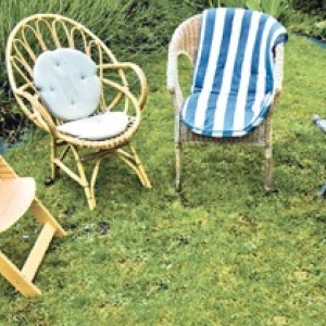 Beitragsbild zum Text: Wo sind die Gefährten von Daniela Mascher